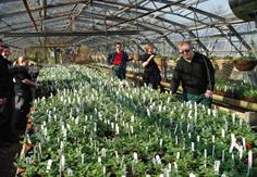 Horticultre Greenhouse